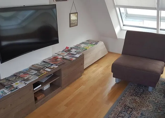 Grosses Penthouse #12 Mit Terrasse Und Aussicht Апартаменти Відень